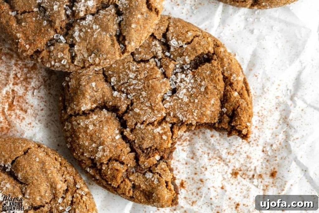 Soft & Chewy Gluten-Free Molasses Spice Cookies 5 Another beautiful shot of gluten-free molasses cookies, ready to be enjoyed.