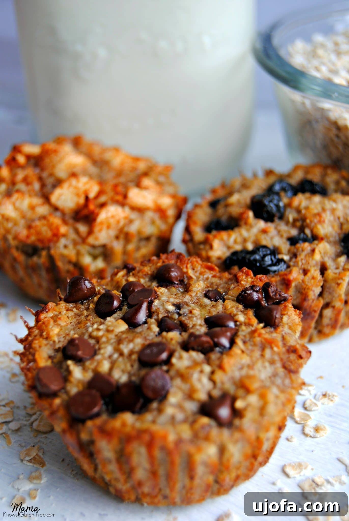 Delicious gluten-free baked oatmeal cups in three flavors: apple cinnamon, blueberry, and chocolate chip, ready to eat.