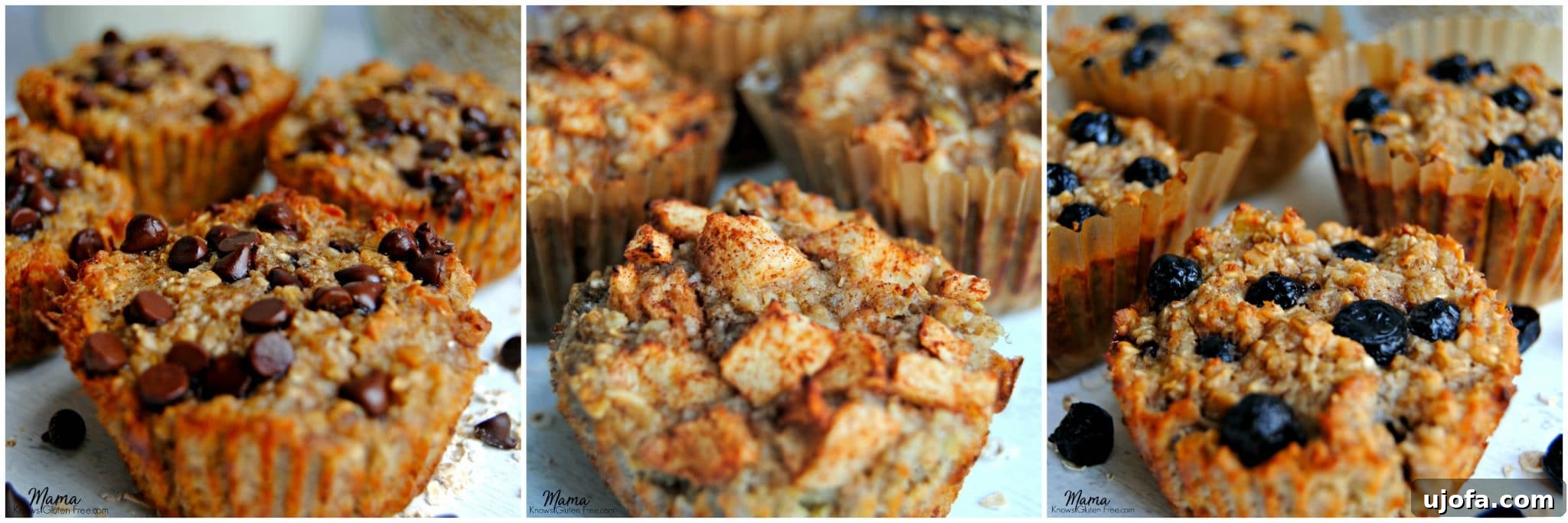 A trio of gluten-free baked oatmeal cups showcasing chocolate chip, apple cinnamon, and blueberry flavors.