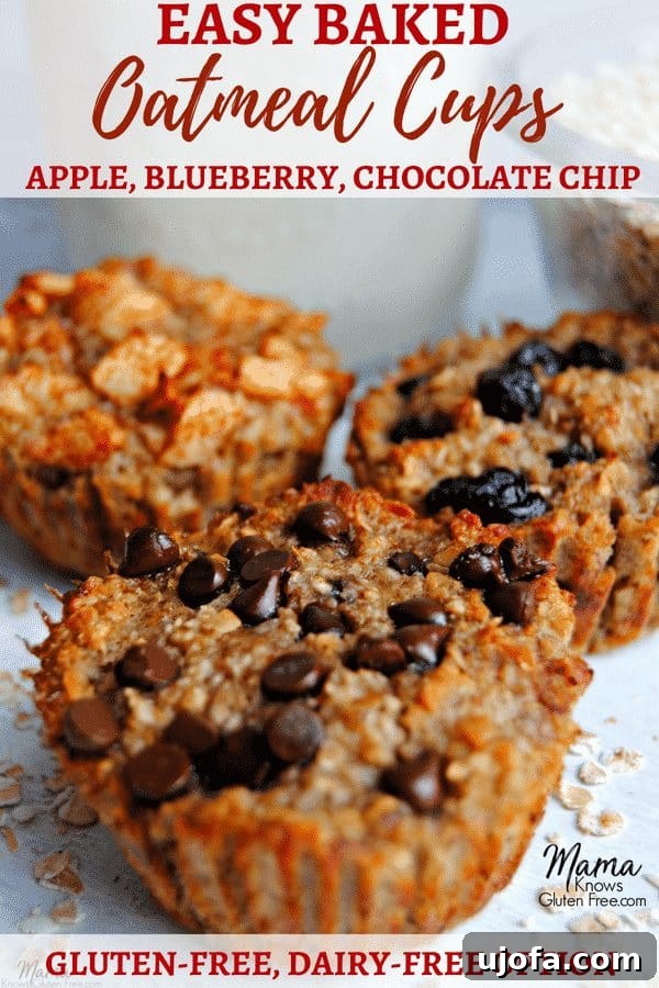 Overhead view of various gluten-free baked oatmeal cups, arranged attractively on a serving board.