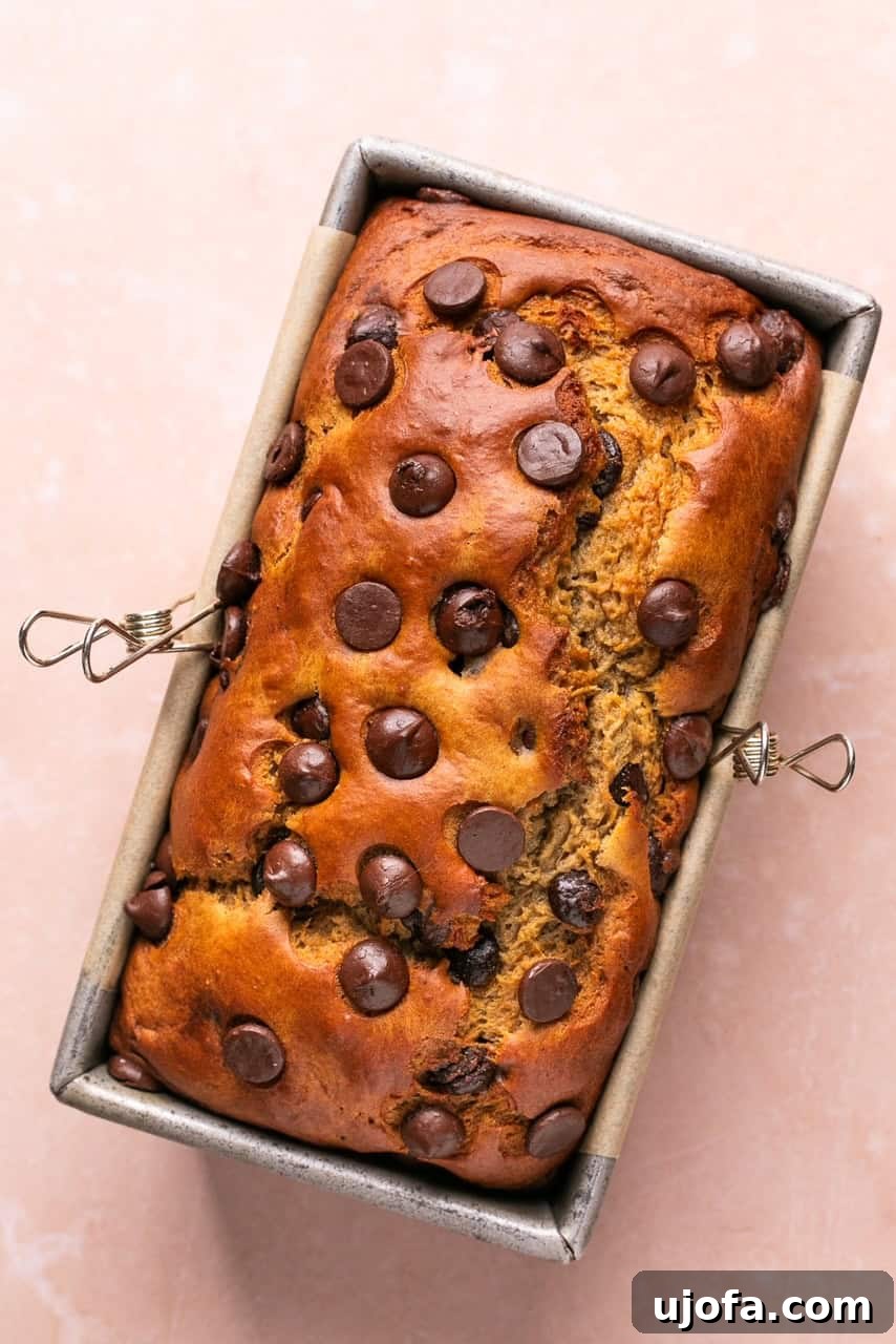 A baked protein banana bread loaf resting in its loaf pan, perfectly golden brown.