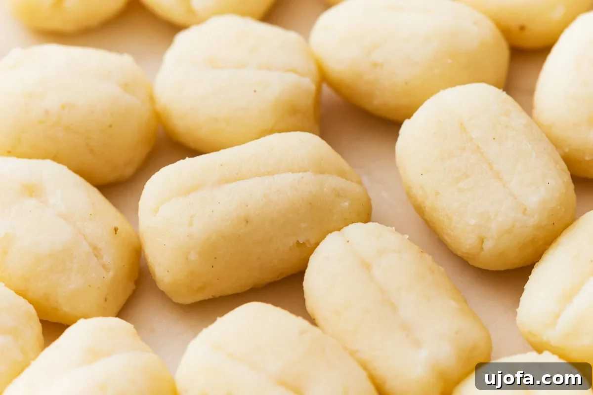 Fluffy Gluten Free Gnocchi 5 close up of gluten free gnocchi.