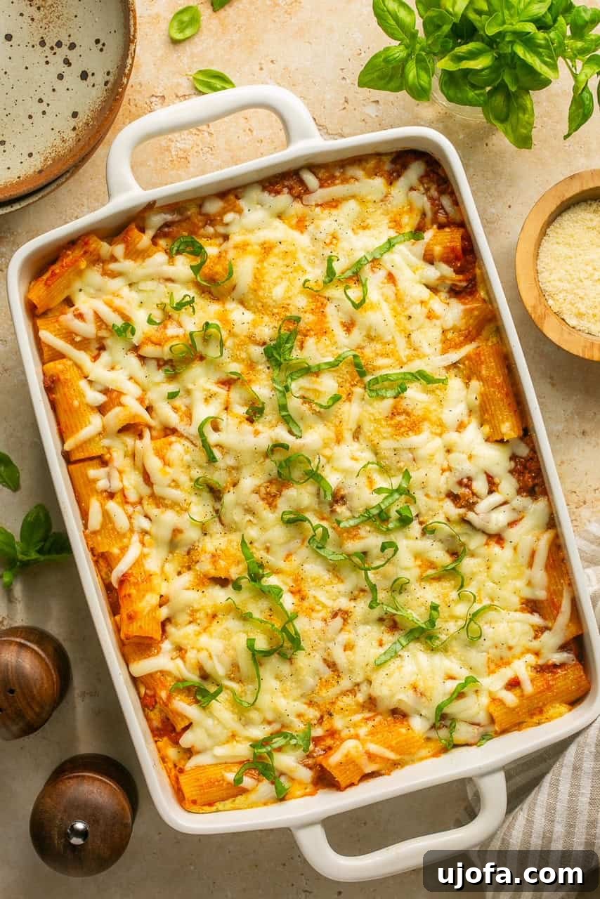 Super Simple Cheesy Lasagna Bake 6 An appetizing overhead view of the lazy lasagna fresh out of the oven in a large casserole dish, golden and bubbly.