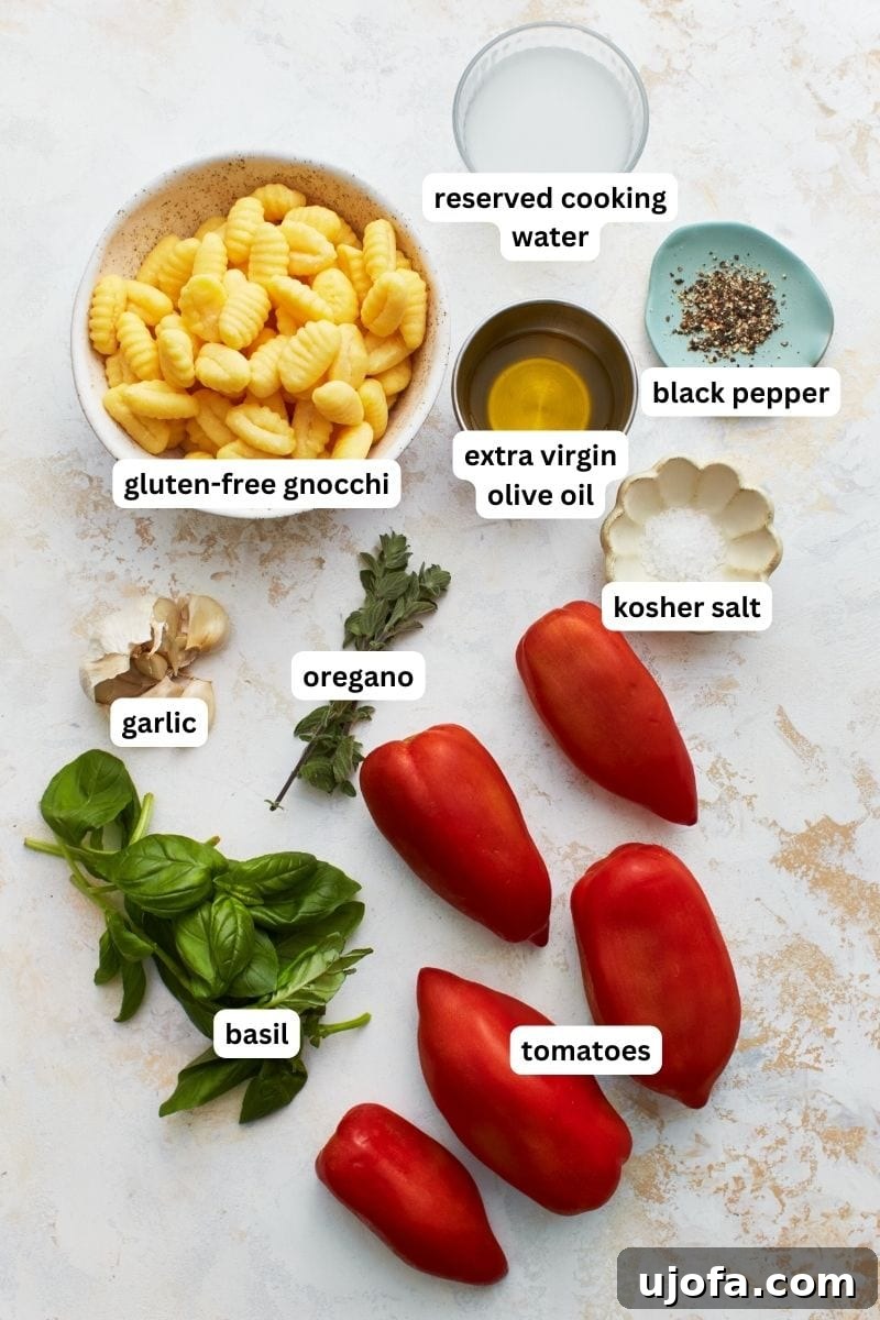 Pillowy Gluten-Free Gnocchi in Zesty Tomato Sauce 3 Ingredients for gluten-free gnocchi in tomato sauce.