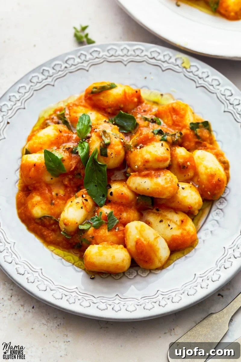 Pillowy Gluten-Free Gnocchi in Zesty Tomato Sauce 6 gluten-free gnocchi in tomato sauce in a white bowl topped with basil