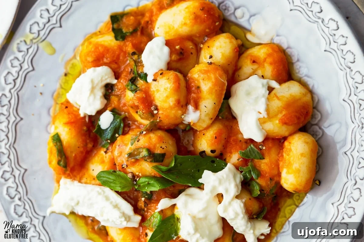 Pillowy Gluten-Free Gnocchi in Zesty Tomato Sauce 8 gluten-free gnocchi in tomato sauce topped with cheese and basil