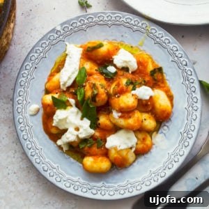 Pillowy Gluten-Free Gnocchi in Zesty Tomato Sauce 7 featured gluten free gnocchi in tomato sauce.