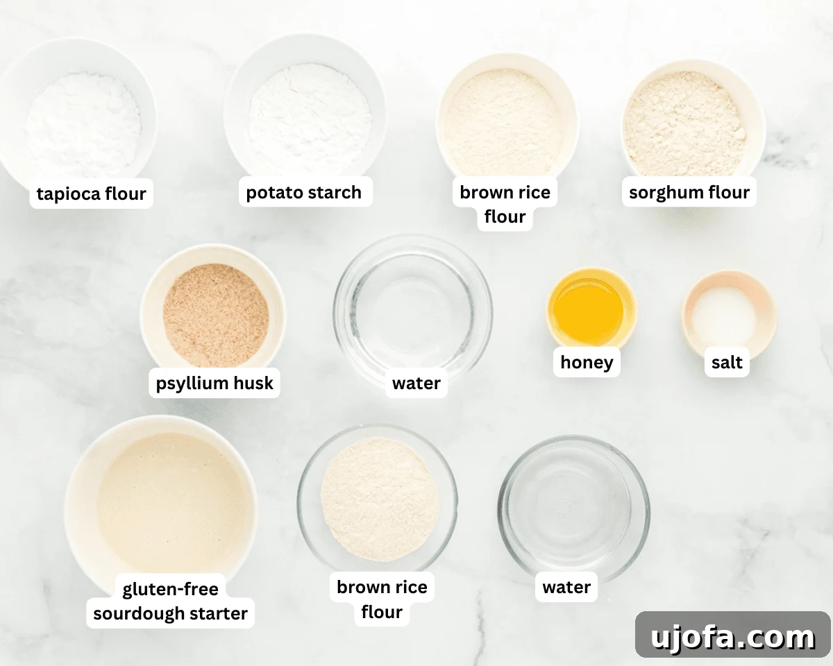 The Art of Gluten-Free Sourdough 4 All the gluten-free sourdough ingredients laid out neatly on a kitchen counter, ready for preparation.