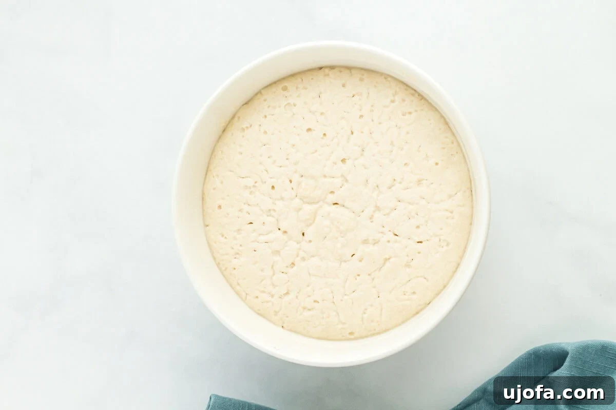 The Art of Gluten-Free Sourdough 5 A preferment mixture for gluten-free sourdough bread in a white bowl, showing active bubbles on the surface.