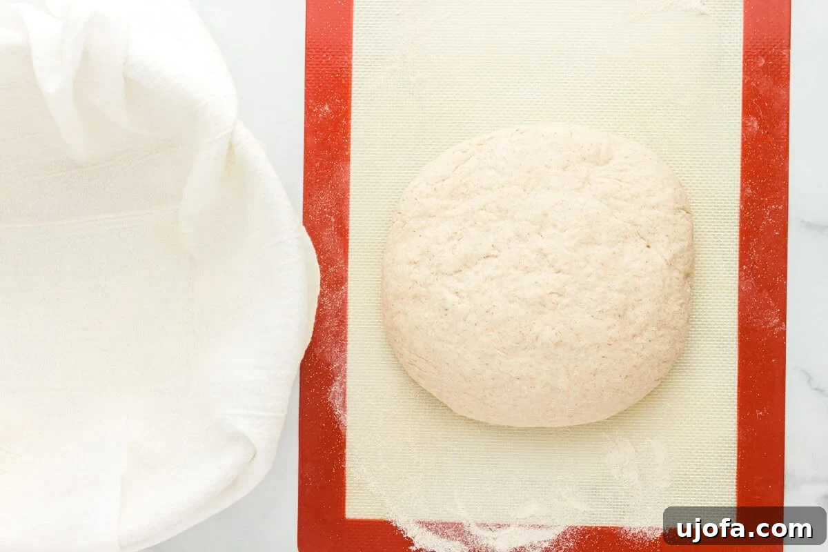The Art of Gluten-Free Sourdough 9 Smooth gluten-free sourdough bread dough ball on a lightly floured cutting board after gentle kneading.