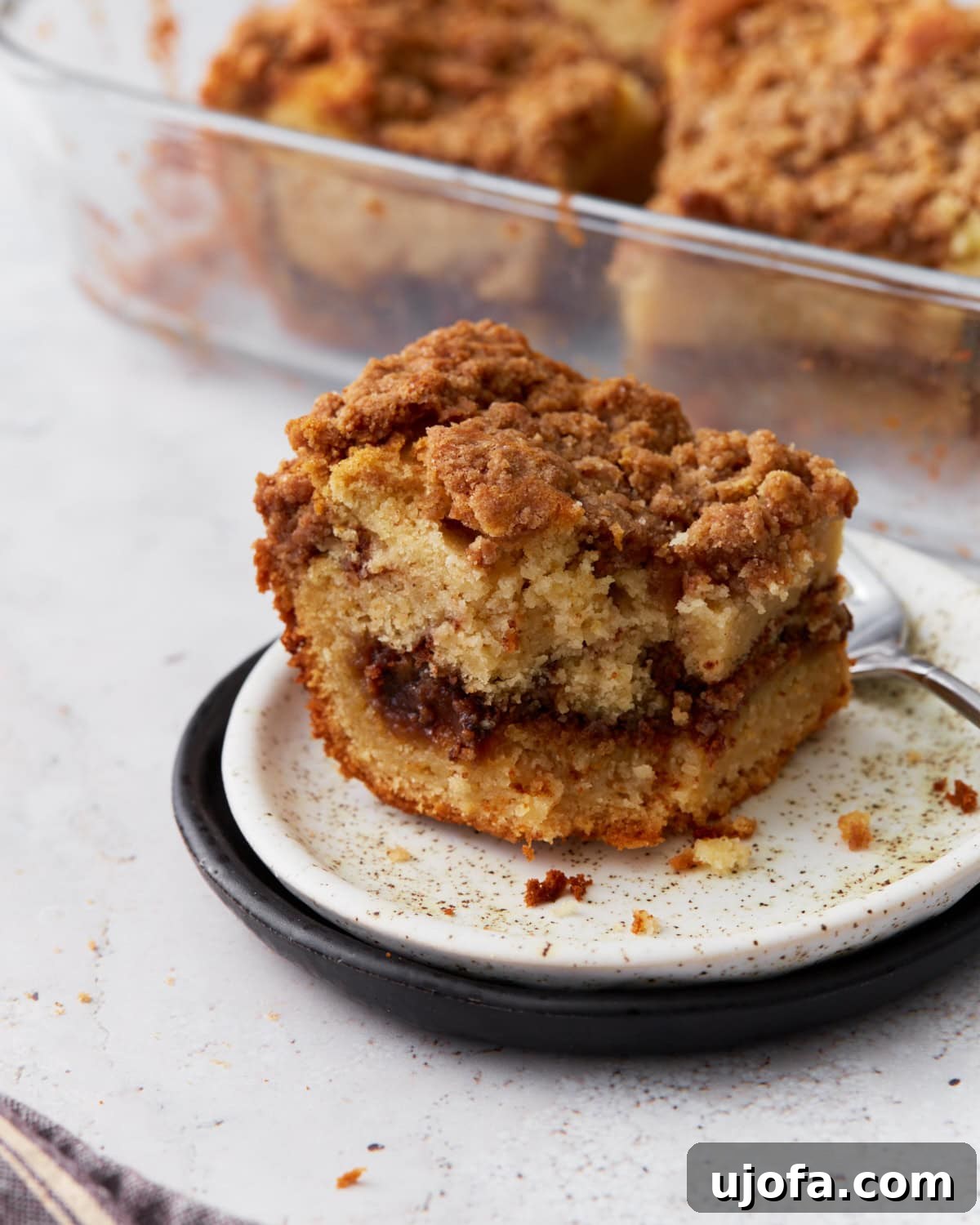 Delicious Gluten-Free Cake Delights 14 A close-up of a single slice of gluten-free cinnamon coffee cake on a white plate with a black rim, showing a rich cinnamon swirl and crumbly streusel topping. A glass baking dish with more cake is visible in the background.