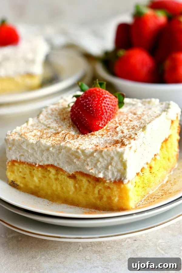 Delicious Gluten-Free Cake Delights 16 a piece of gluten-free tres leche cake on a plate with more cake and strawberries in the background