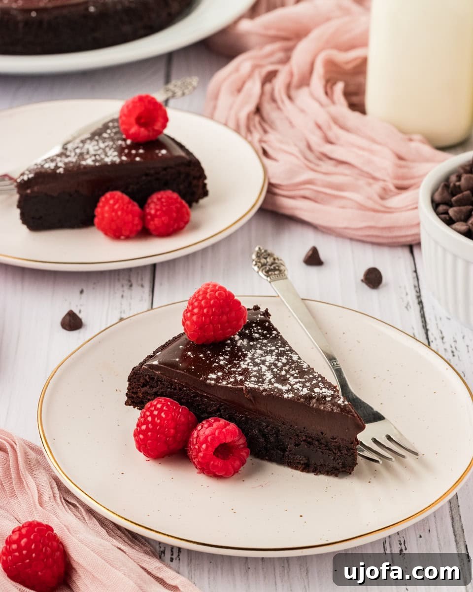 Delicious Gluten-Free Cake Delights 19 two slices of flourless chocolate cake on two white plates both sprinkled with powdered sugar and three raspberries