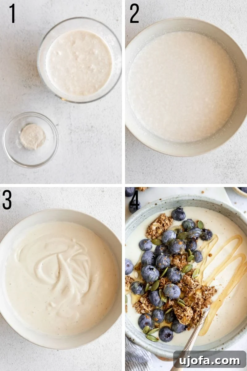 Step-by-step visual guide on how to make dairy-free coconut yogurt at home.