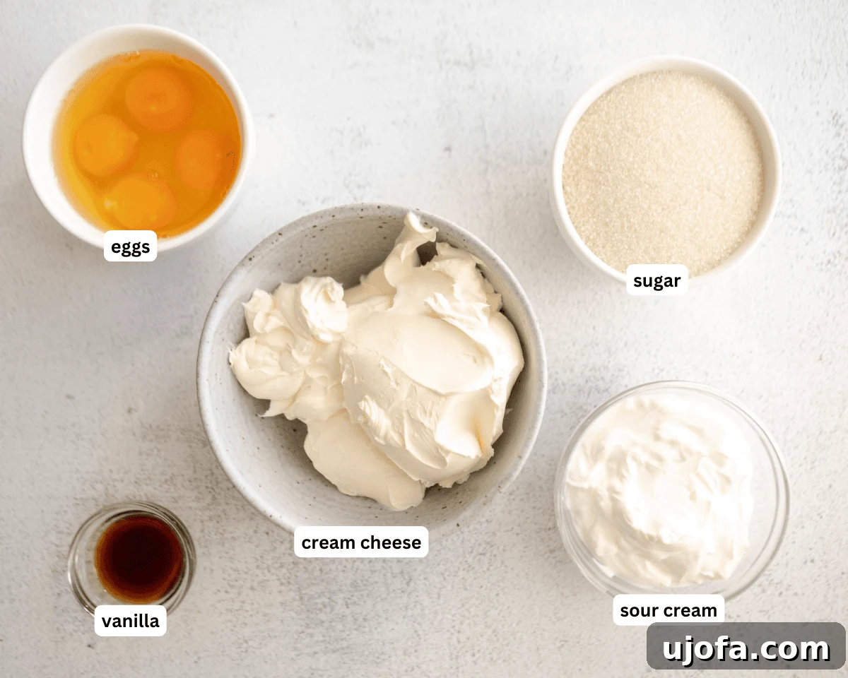 Silken Cheesecake 4 Individual ingredients for crustless cheesecake including cream cheese, sugar, sour cream, eggs, and vanilla extract laid out on a white surface.