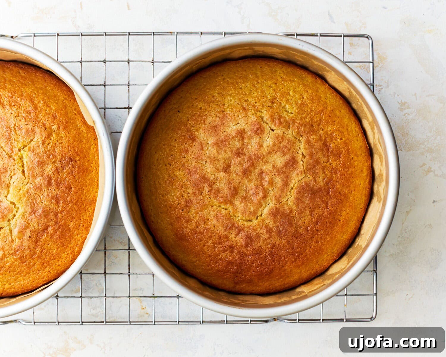 Baked Cake Layers in Pans Two unfrosted gluten-free vanilla cake layers cooling in their pans.