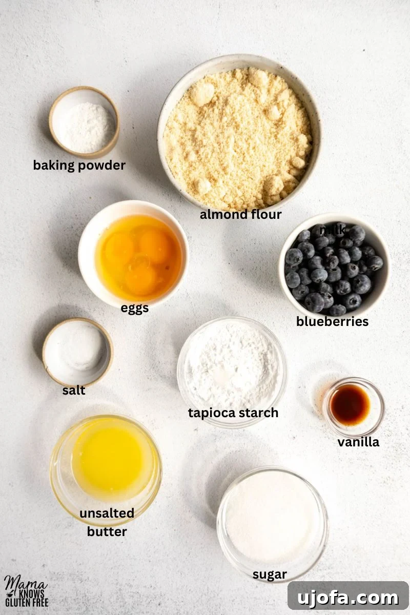 ingredients for almond flour blueberry muffins laid out on a light surface