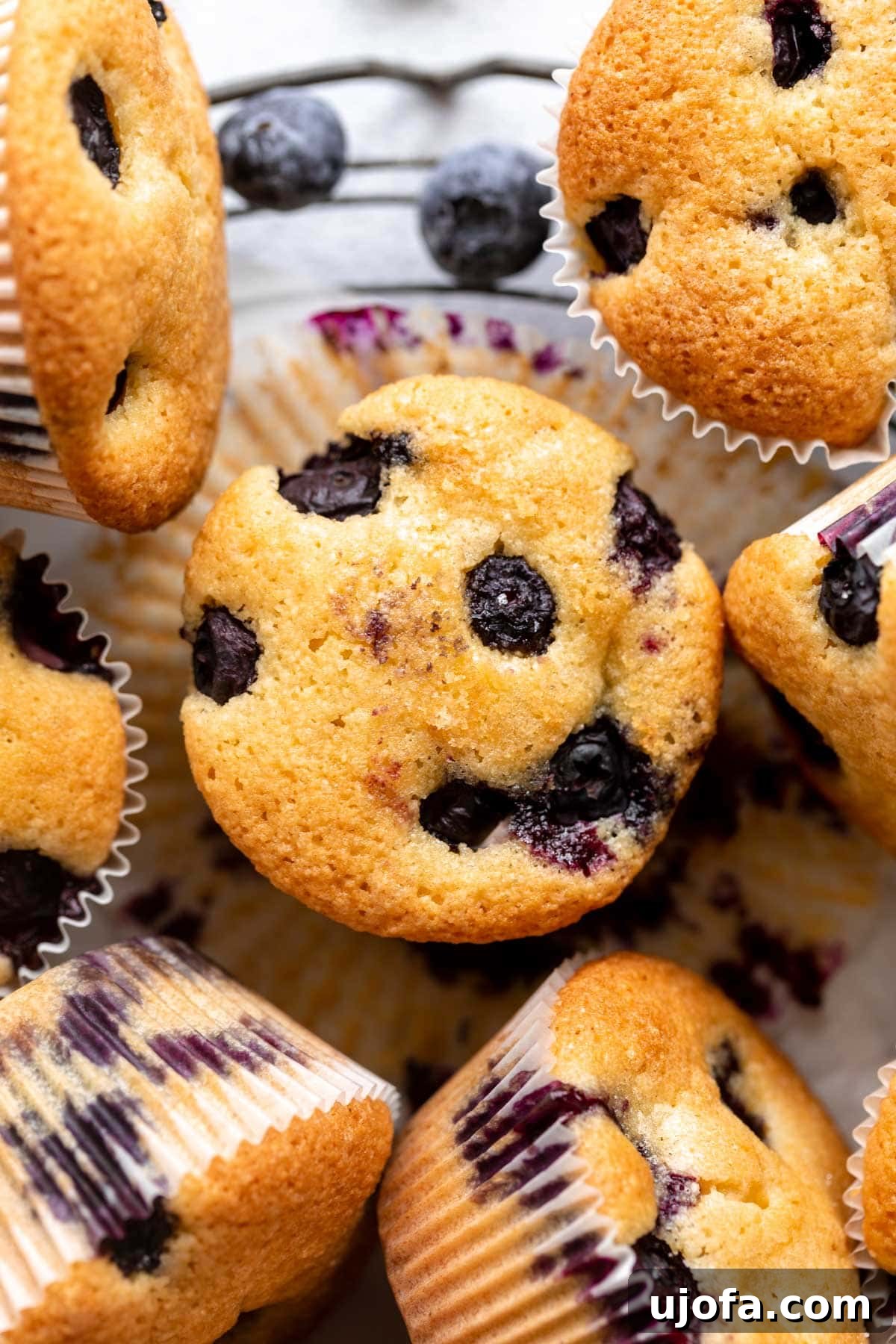 overhead view of almond flour blueberry muffins, showcasing their golden tops and plump blueberries.