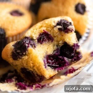 close-up view of a bitten almond flour blueberry muffin.