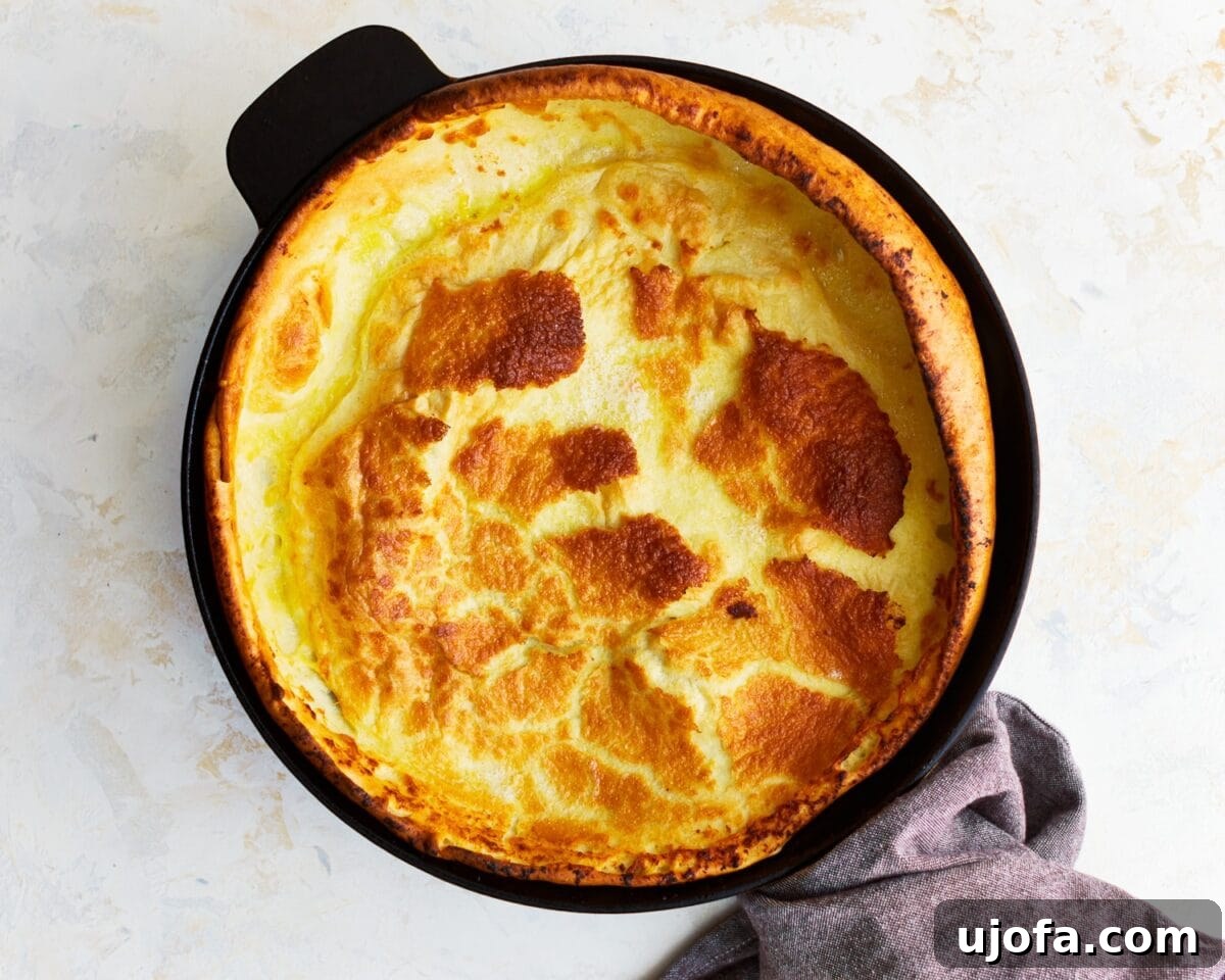 Golden-brown gluten-free Dutch baby pancake magnificently puffed up and crispy at the edges in a cast-iron skillet, fresh from the oven.