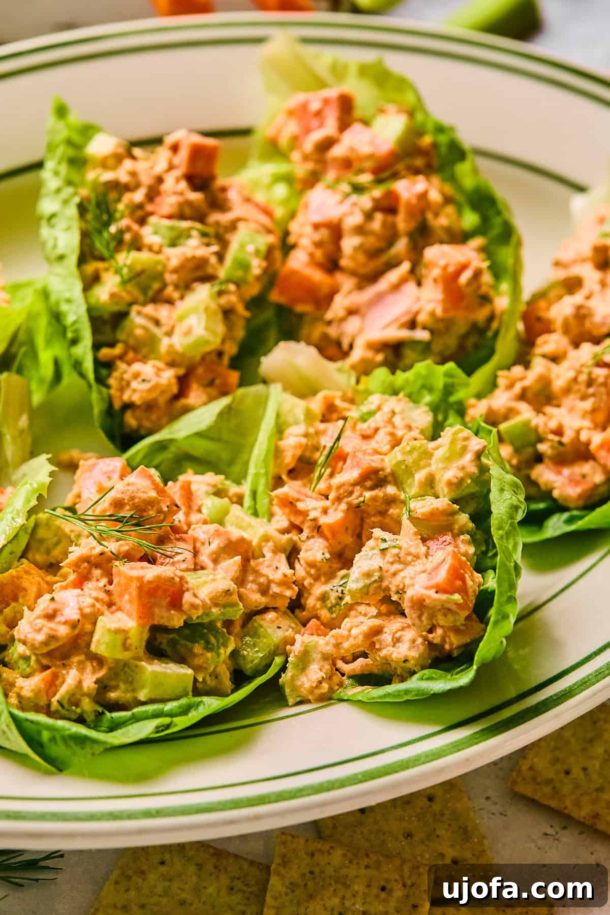 Buffalo tuna salad beautifully served in crisp lettuce cups, garnished with dill