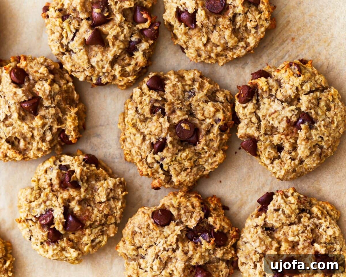 Wholesome Banana Oat Cookies 11 Overhead close-up of freshly baked gluten-free banana oatmeal cookies with chocolate chips on a parchment-lined baking sheet.