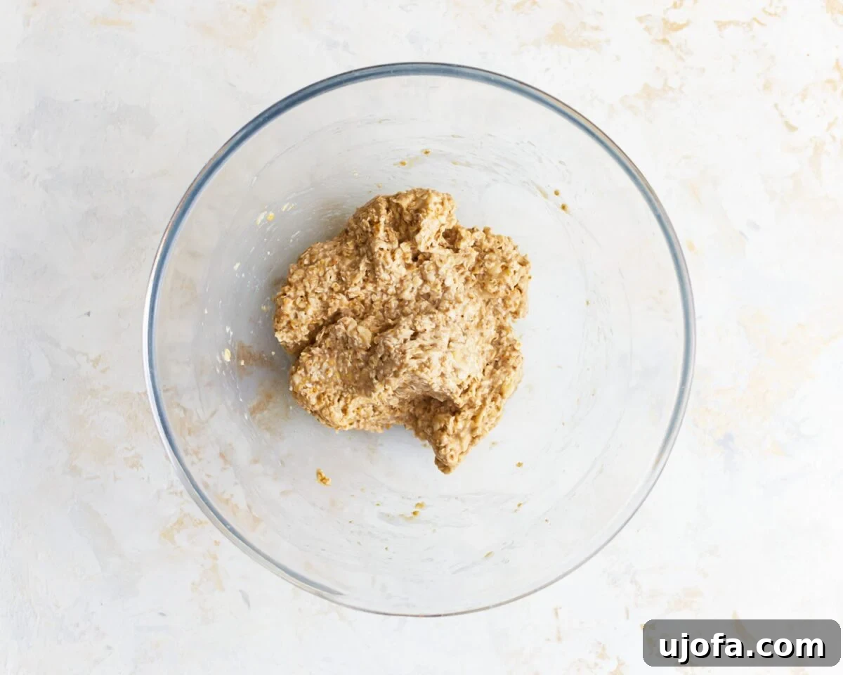 Wholesome Banana Oat Cookies 6 Thick oatmeal cookie dough mixture after combining bananas, oats, and other ingredients in a bowl.