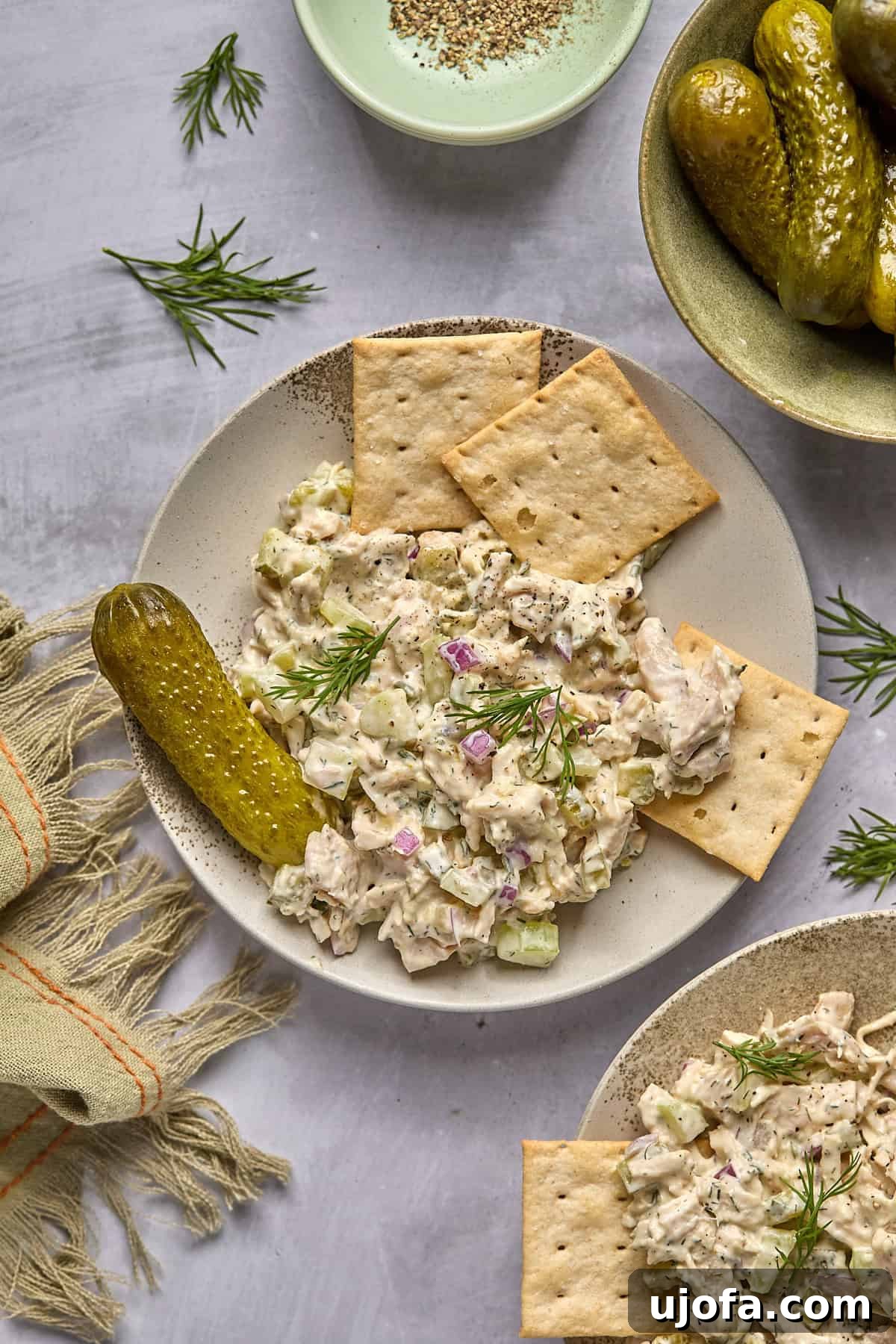 a plate of chicken salad with crackers and a pickle with a dish of pickles on the side.