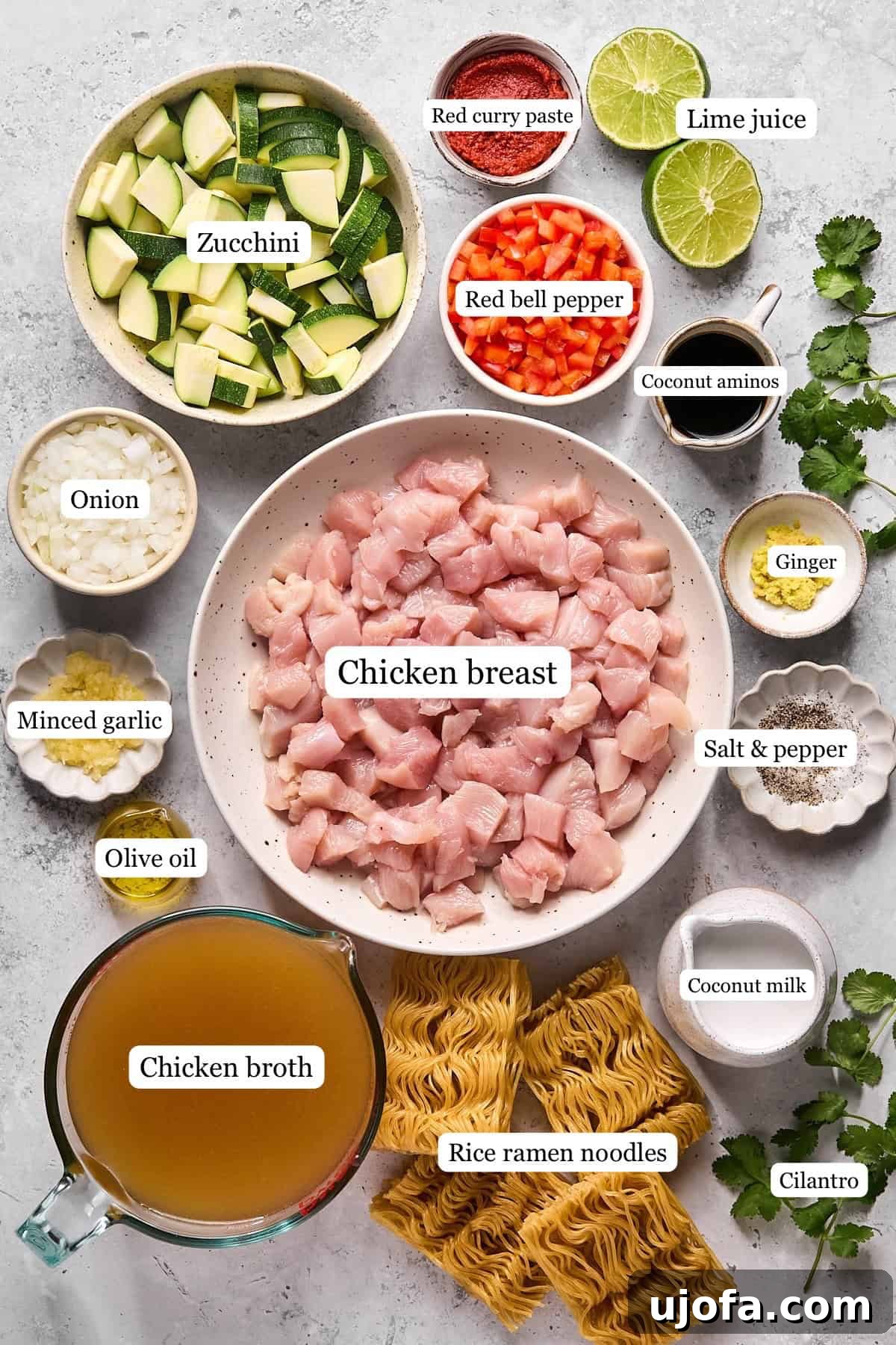 A colorful array of fresh recipe ingredients arranged in small bowls and labeled, including red bell pepper, zucchini, ginger, garlic, cilantro, and coconut milk, against a white background.