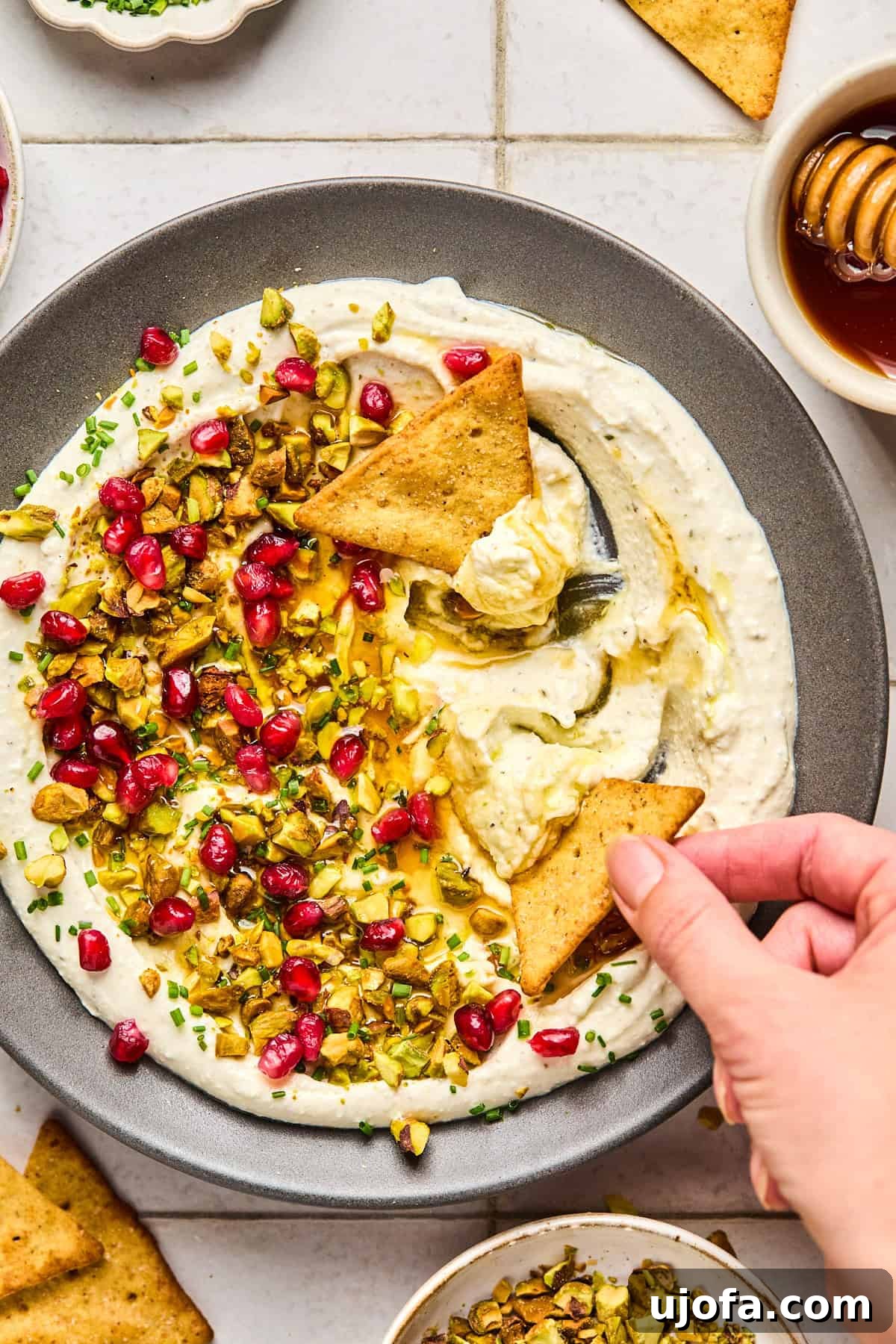 whipped feta with honey, pistachios, pomegranates and chives with a pita cracker dipping in