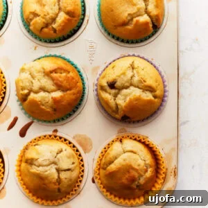 overhead view of gluten-free muffins in a muffin tin.