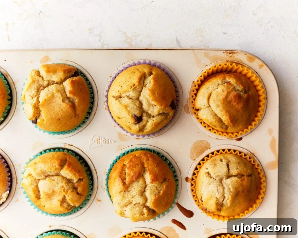 A tray of freshly baked golden-brown gluten-free muffins in vibrant paper liners, with cracked tops and a slightly domed shape.