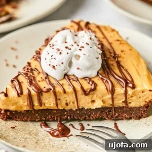 No-Bake Vegan Peanut Butter Bliss 17 A full dairy-free peanut butter pie with chocolate crust and whipped cream on a plate, ready to be served.