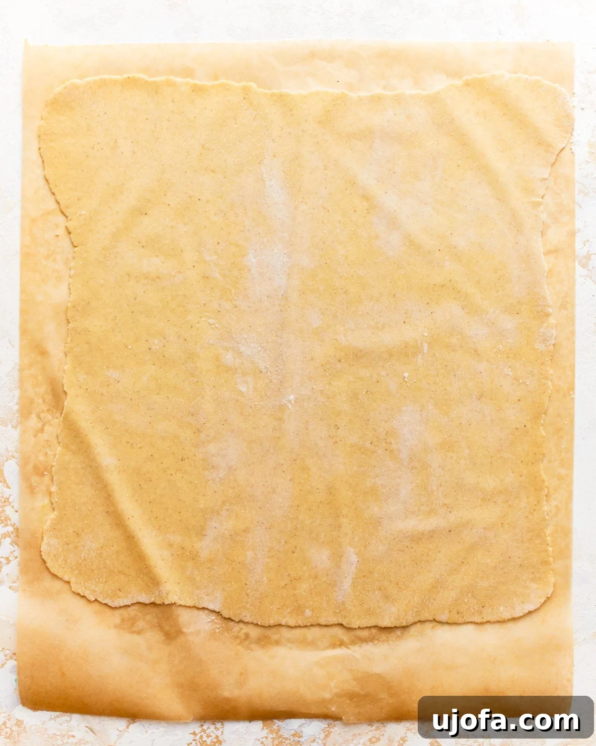 a rolled-out sheet of gluten-free pasta dough.