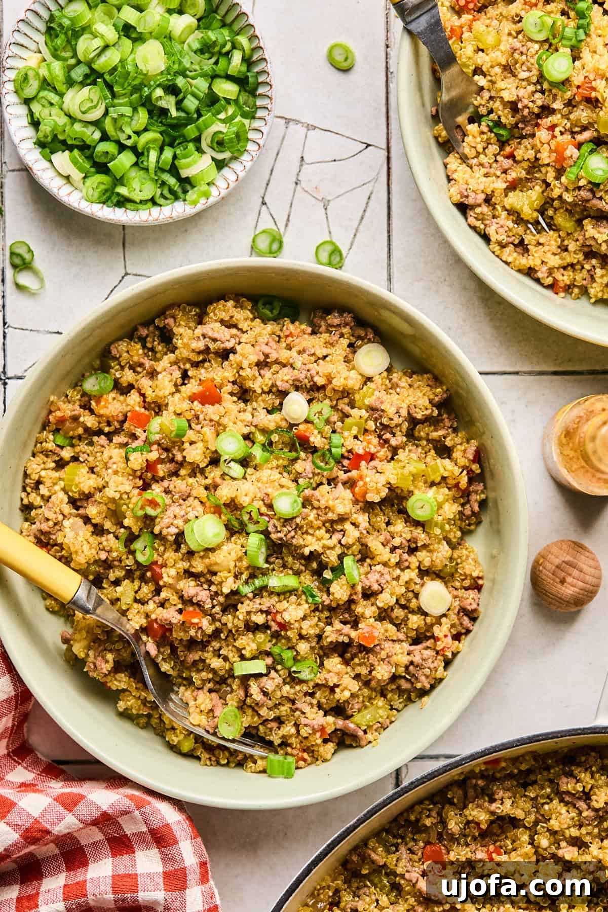 Dirty Quinoa: A Flavorful and Healthy Take on a Classic 11 An overhead shot of dirty quinoa mixed with ground beef and Cajun spices in a bowl, generously topped with vibrant green onions.