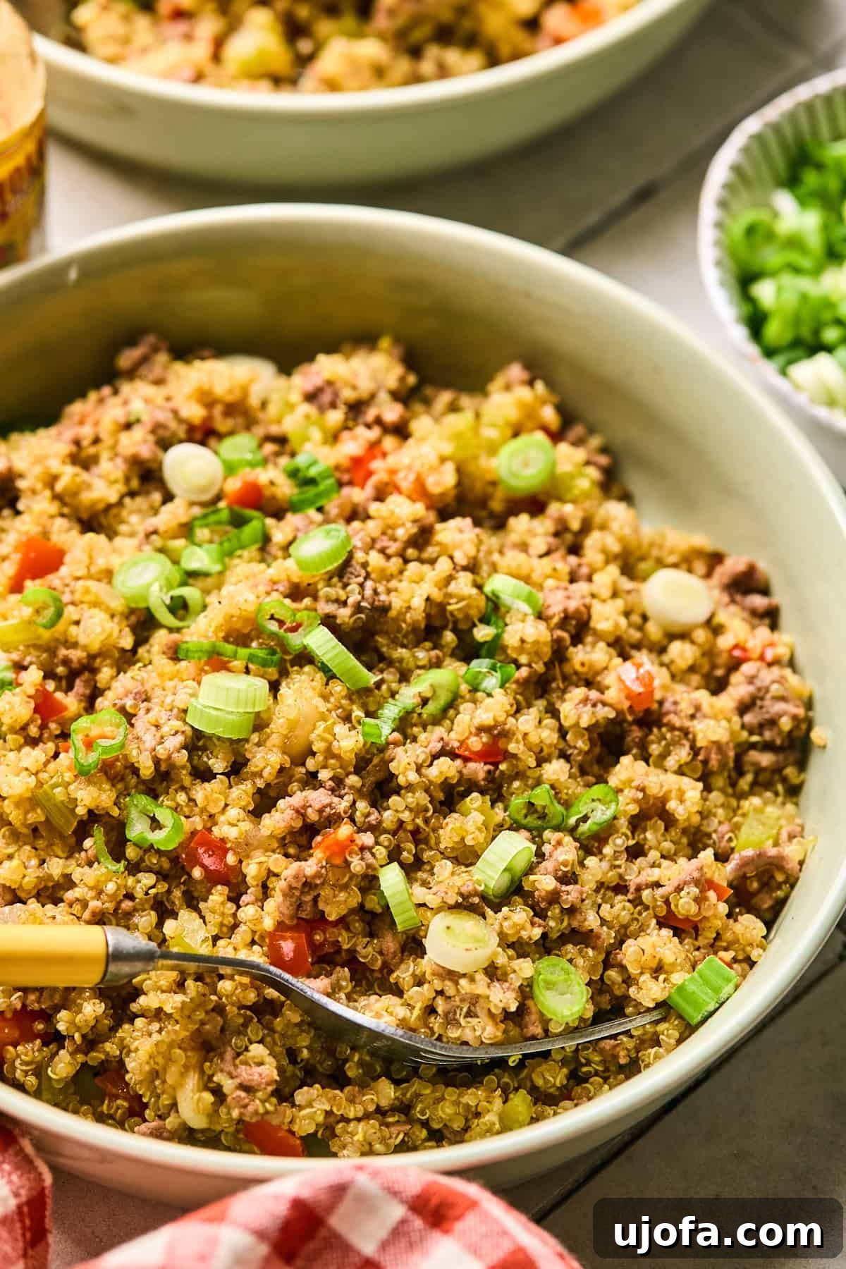 Dirty Quinoa: A Flavorful and Healthy Take on a Classic 12 A bowl of delicious dirty quinoa, served with a fork and garnished with fresh green onions, showcasing a delightful meal.