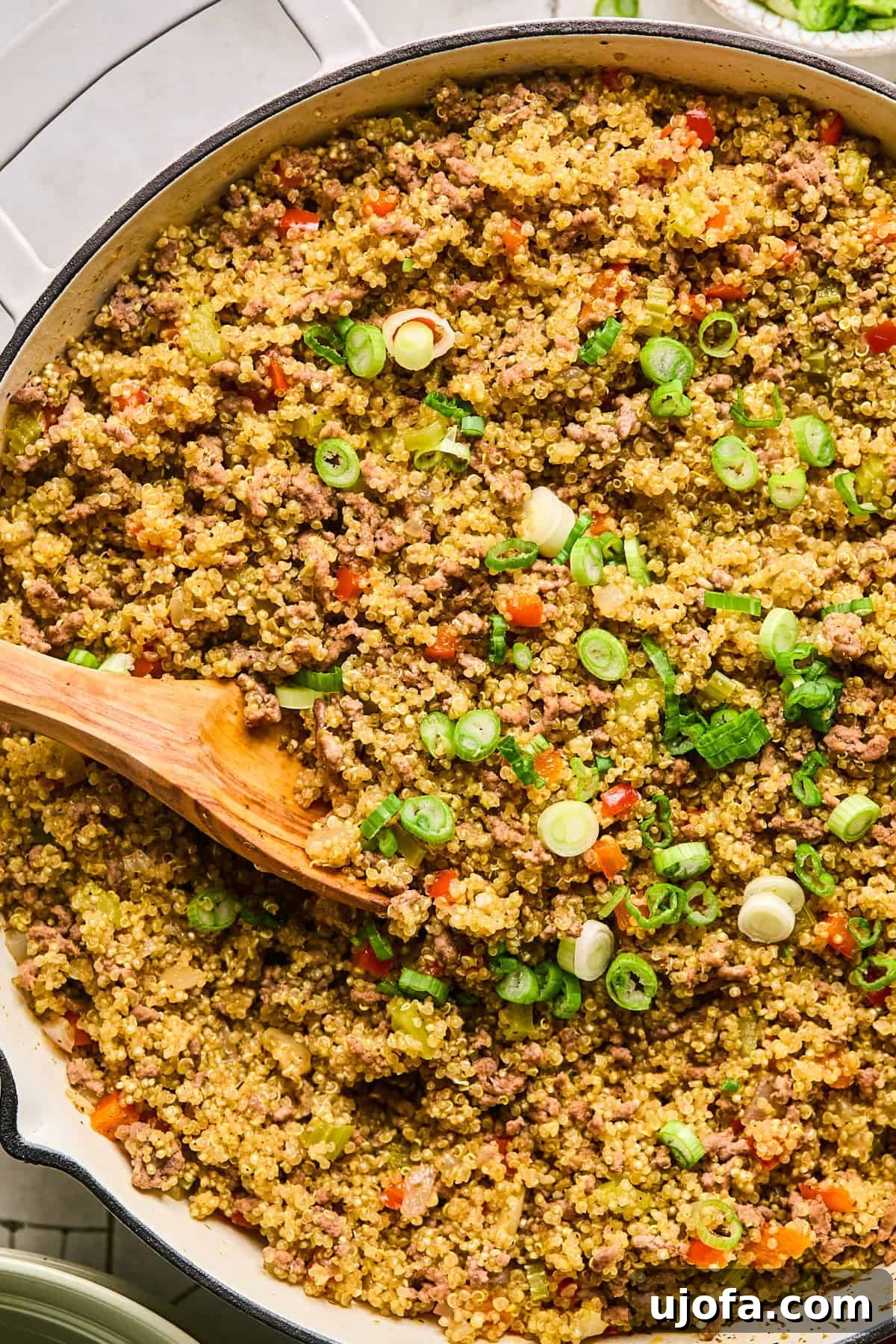 Dirty Quinoa: A Flavorful and Healthy Take on a Classic 10 A close-up overhead shot of the dirty quinoa dish, beautifully garnished with fresh green onions, showcasing its rich texture and colors.