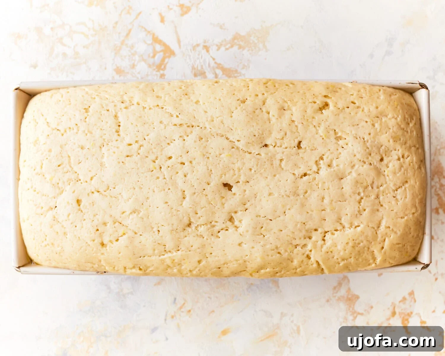 Hearty Gluten-Free Potato Loaf 11 Proofing dough for gluten free potato bread in a loaf pan.