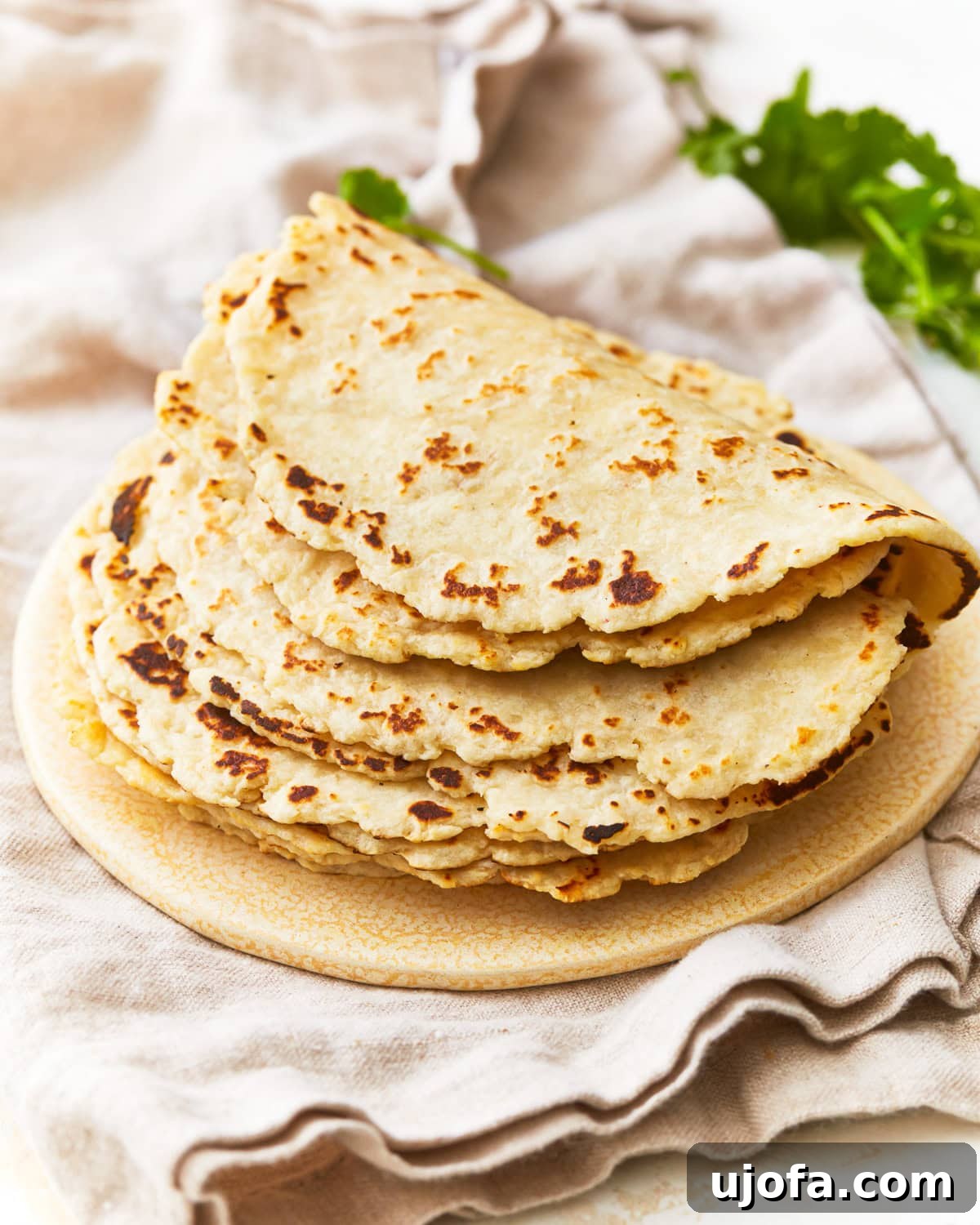 A stack of golden-brown almond flour tortillas on a plate, ready to be filled.
