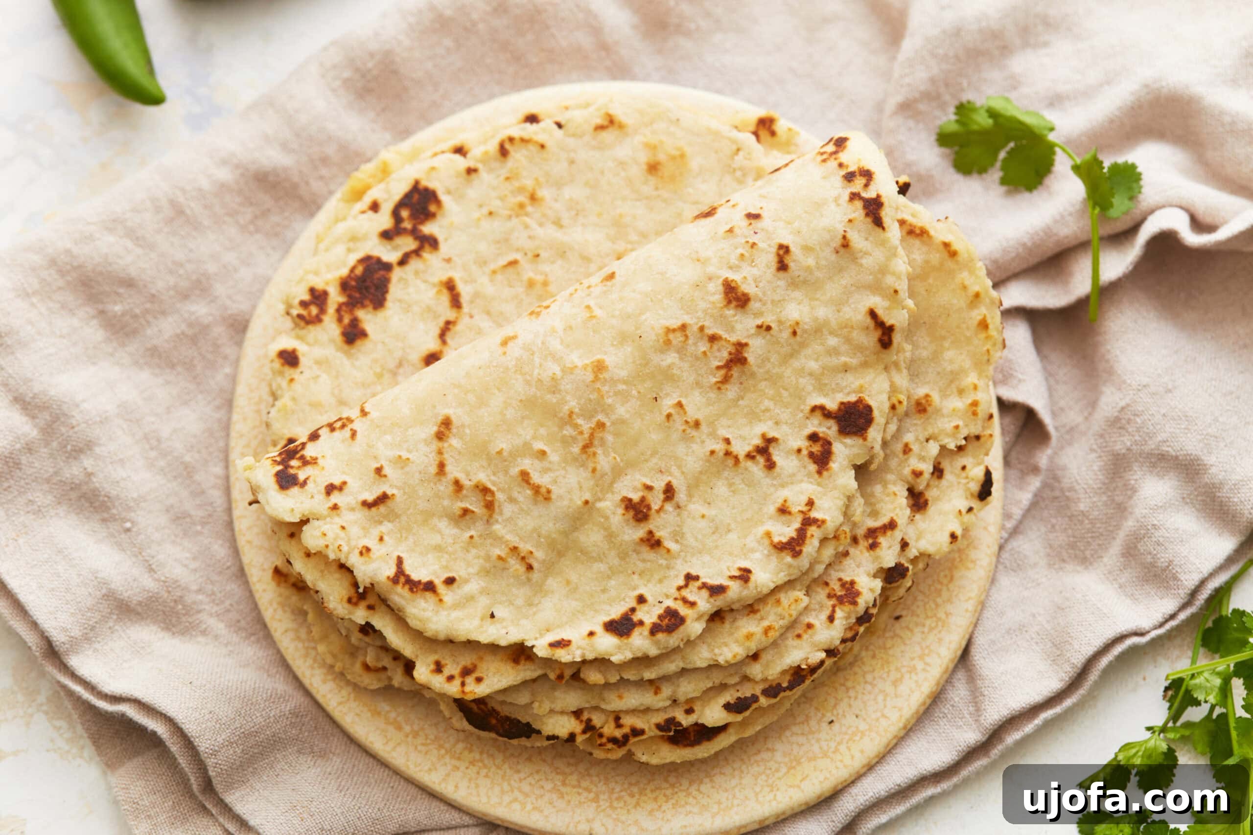 Overhead view of a beautifully arranged stack of almond flour tortillas on a plate.