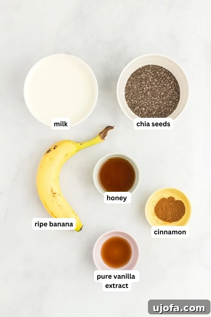 Various ingredients for banana chia pudding laid out on a white surface, including a banana, milk, chia seeds, honey, vanilla extract, and cinnamon.