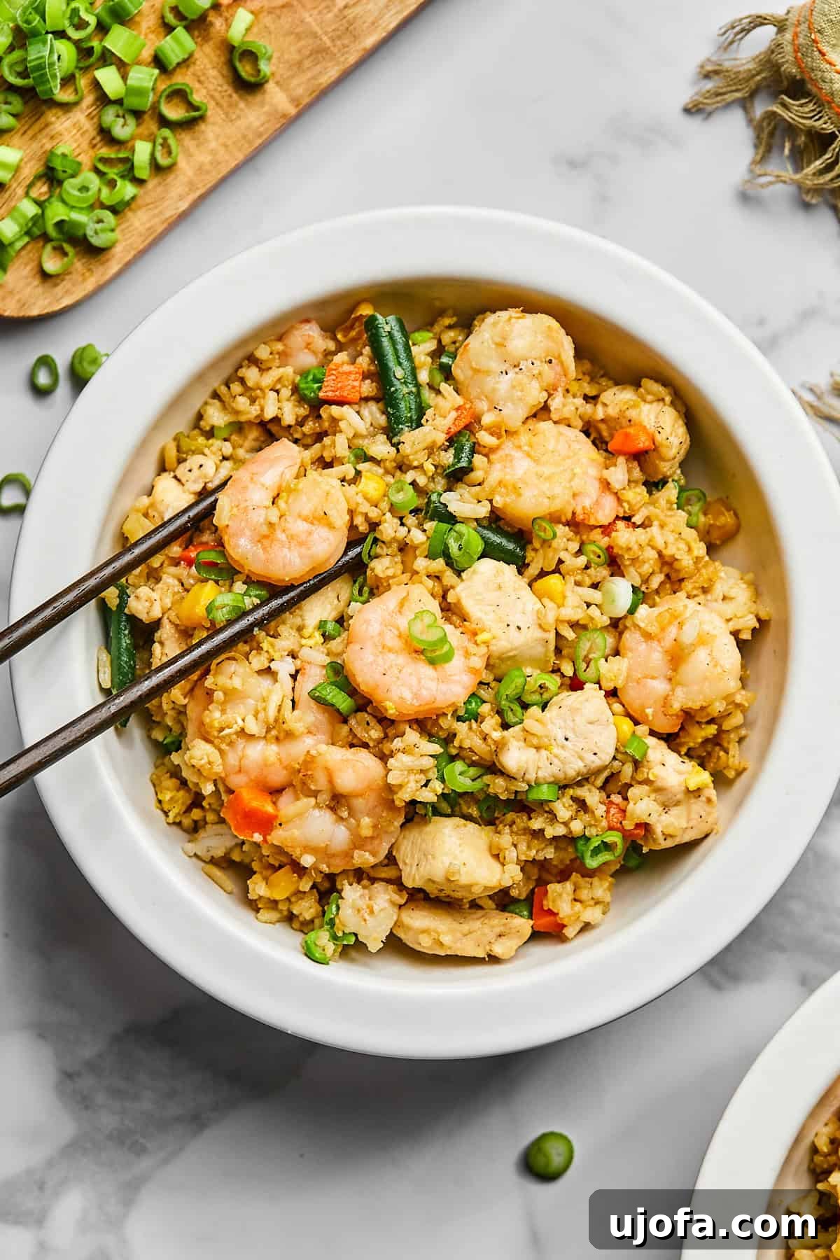 Chicken and shrimp fried rice in a white bowl with green onions
