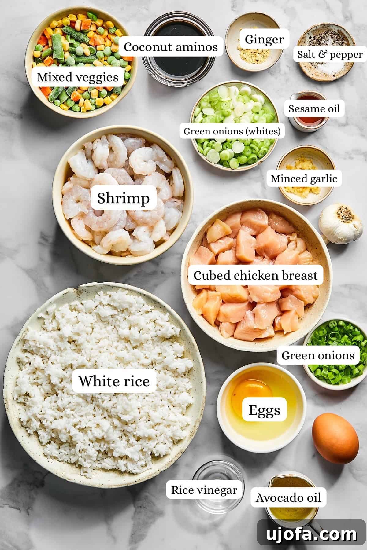 Flat lay of ingredients for chicken and shrimp fried rice including shrimp, chicken, eggs, and vegetables