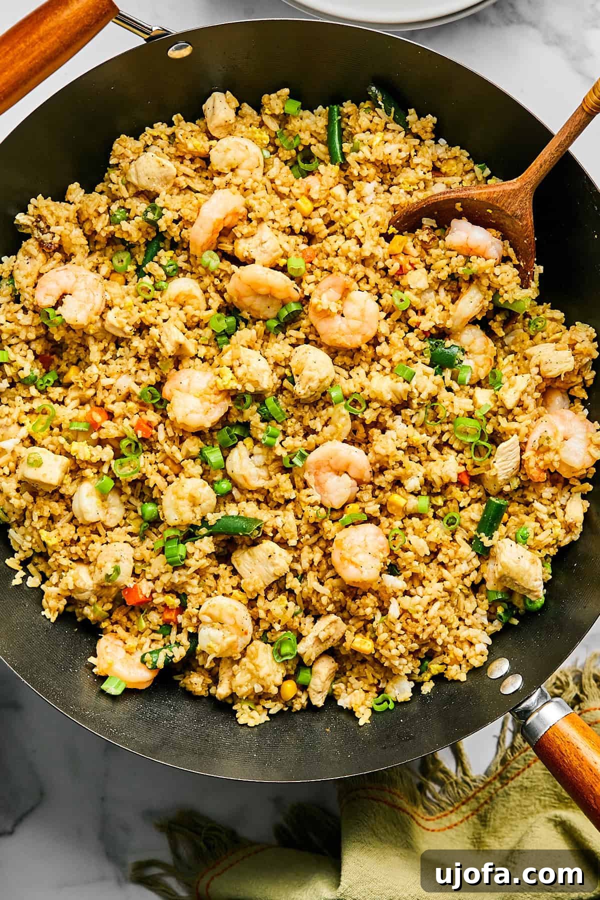 Finished chicken and shrimp fried rice topped with green onions