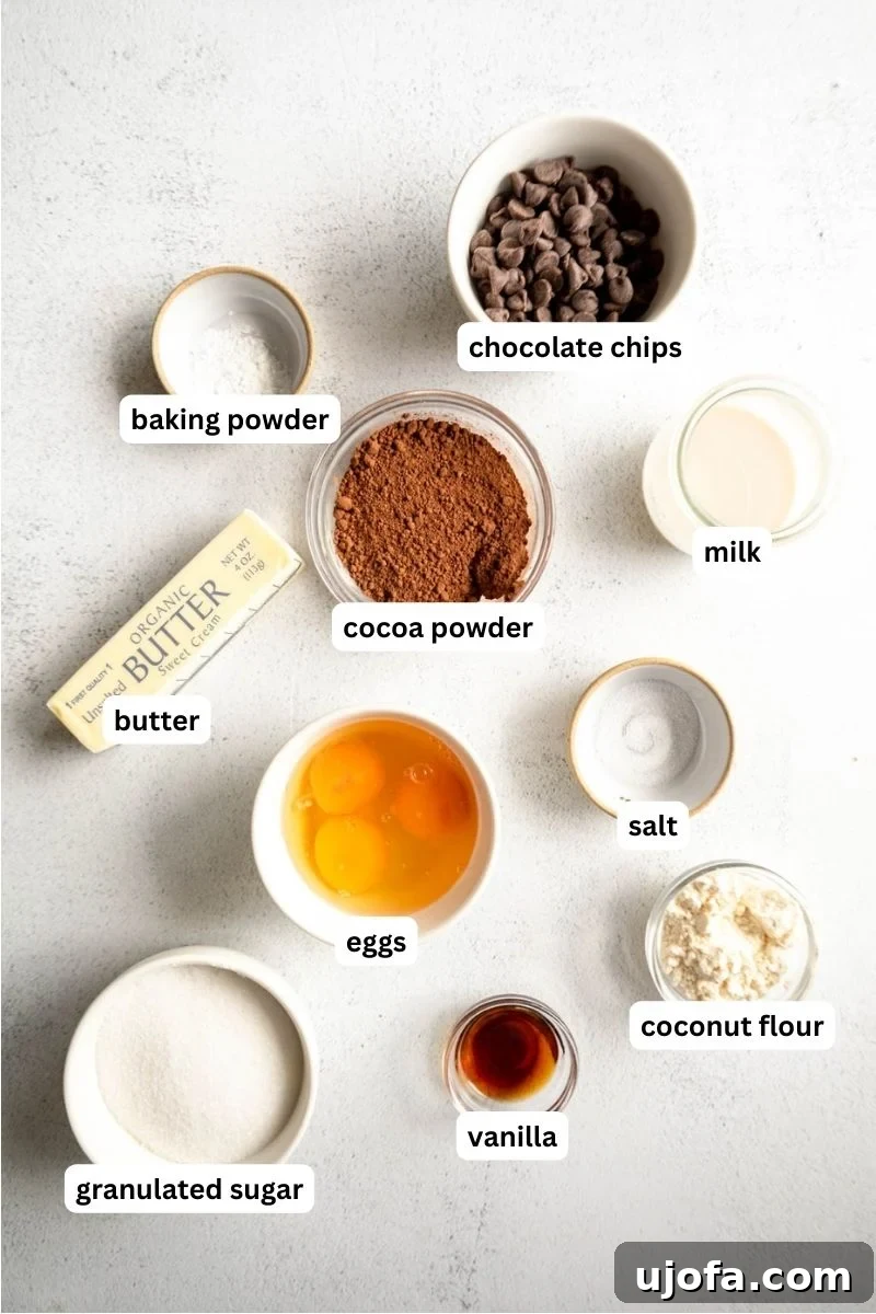 Fudgy Coconut Flour Brownies 3 Ingredients for coconut flour brownies laid out on a white surface, including eggs, butter, sugar, cocoa powder, coconut flour, vanilla, and chocolate chips.
