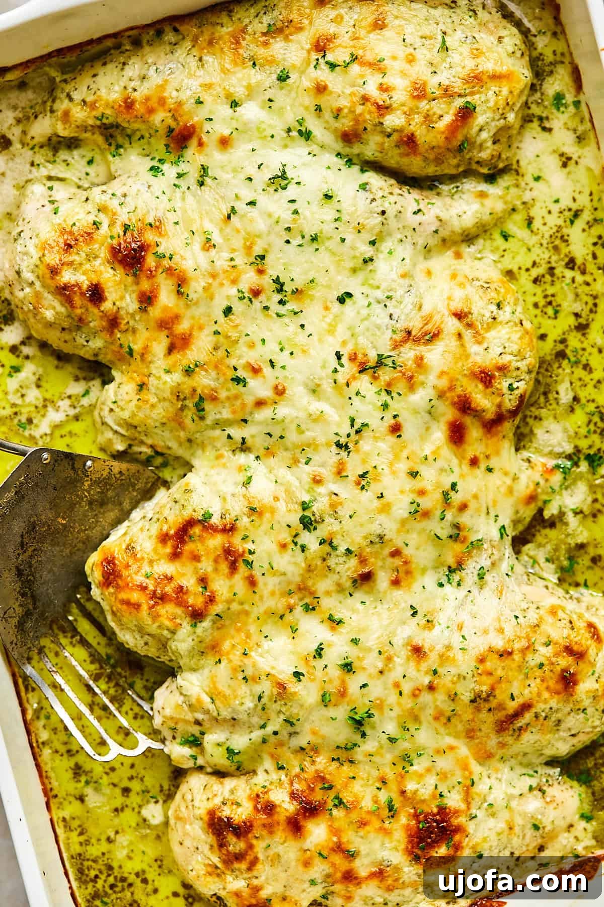 Cheesy pesto chicken bake fresh out of the oven with golden melted mozzarella on top and garnished with fresh basil