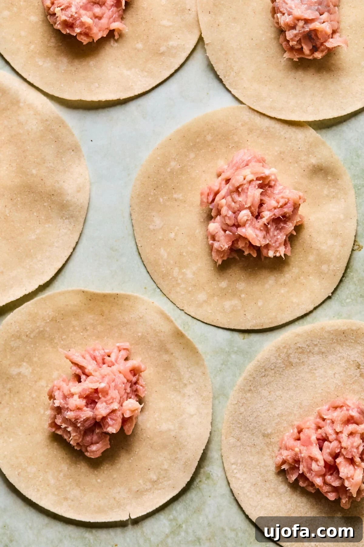 step 3: raw ground chicken divided into portions on a plate