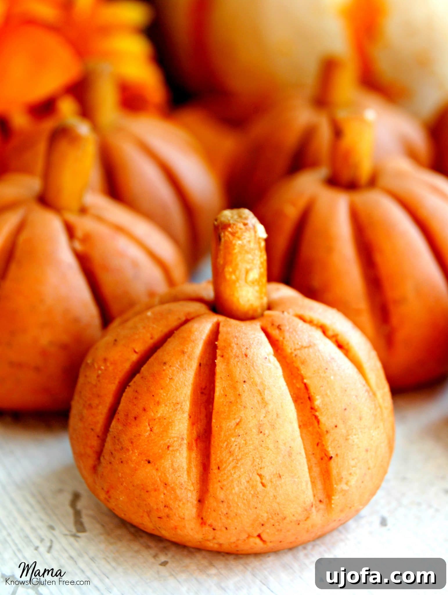 Pumpkin Spice Peanut Butter Bliss Bites (Gluten-Free Dairy-Free) 2 Irresistible Gluten-Free Pumpkin Spice Peanut Butter Balls arranged on a festive platter