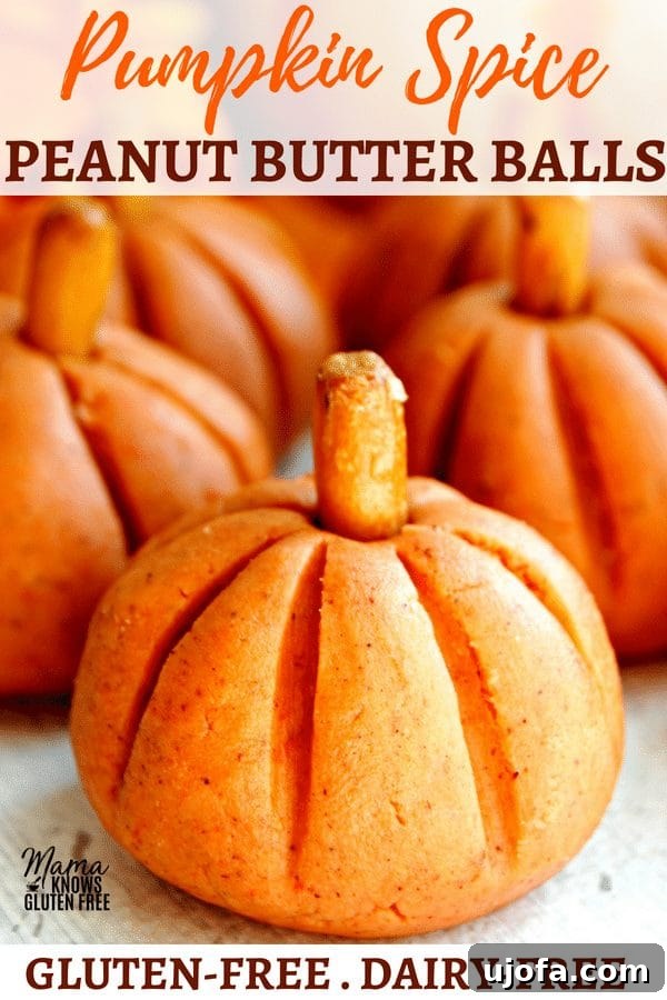 Pumpkin Spice Peanut Butter Bliss Bites (Gluten-Free Dairy-Free) 4 Beautifully arranged pumpkin spice peanut butter balls on a wooden board