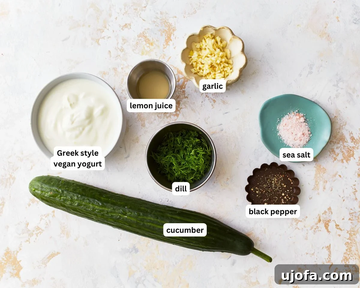 Ingredients for dairy-free tzatziki